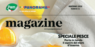 Cover Pam Panorama Magazine