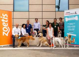 Pets at Work Alliance Purina