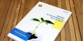 Lidl Report di sostenibilità