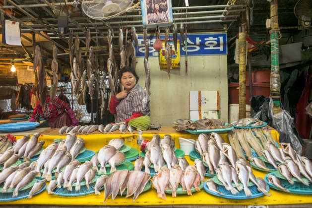 Jagalchi Market Busan Corea Sud