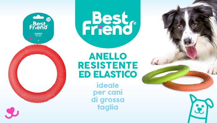 Best Friend Anello Cani Grossa Taglia